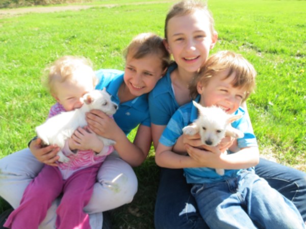 clearwater, kennels, cushing, mn, minnesota, children, pups